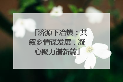 济源下冶镇：共叙乡情谋发展，凝心聚力谱新篇