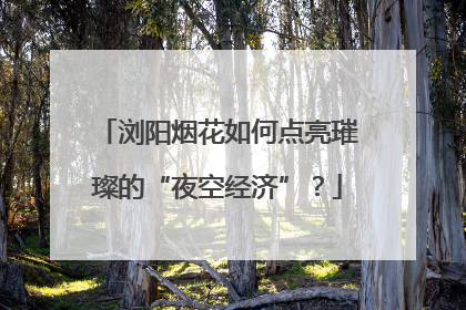 浏阳烟花如何点亮璀璨的“夜空经济”？