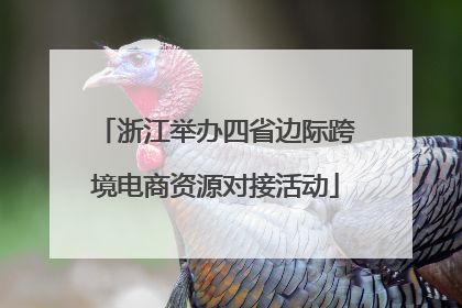 浙江举办四省边际跨境电商资源对接活动
