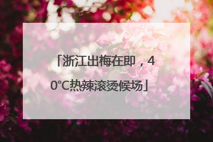 浙江出梅在即，40℃热辣滚烫候场