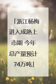 浙江杨梅进入成熟上市期 今年总产量预计74万吨