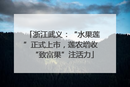 浙江武义：“水果莲”正式上市，莲农增收“致富果”注活力