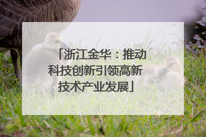浙江金华：推动科技创新引领高新技术产业发展