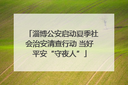 淄博公安启动夏季社会治安清查行动 当好平安“守夜人”
