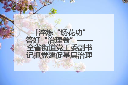 淬炼“绣花功” 答好“治理卷”——全省街道党工委副书记抓党建促基层治理培训示范班侧记