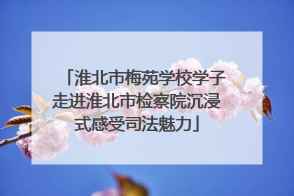 淮北市梅苑学校学子走进淮北市检察院沉浸式感受司法魅力