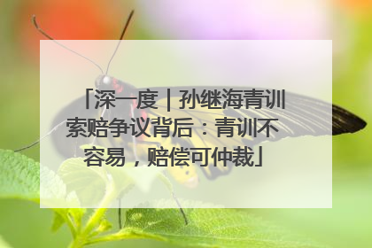 深一度｜孙继海青训索赔争议背后：青训不容易，赔偿可仲裁