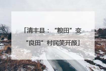 清丰县：“粮田”变“良田”村民笑开颜