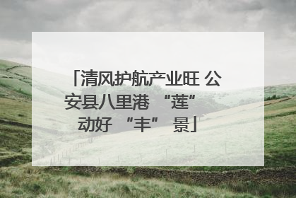 清风护航产业旺 公安县八里港 “莲” 动好 “丰” 景