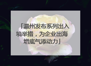 温州发布系列出入境举措，为企业出海增底气添动力