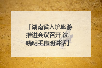 湖南省入境旅游推进会议召开 沈晓明毛伟明讲话
