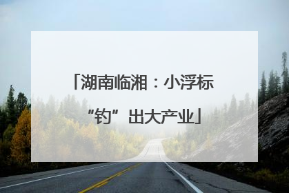 湖南临湘：小浮标“钓”出大产业