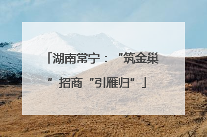 湖南常宁：“筑金巢”招商“引雁归”