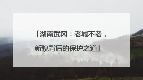 湖南武冈：老城不老，新貌背后的保护之道
