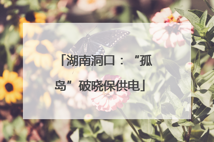 湖南洞口：“孤岛”破晓保供电