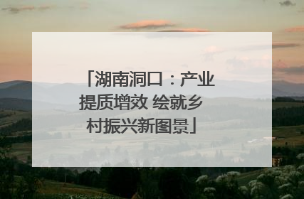 湖南洞口：产业提质增效 绘就乡村振兴新图景