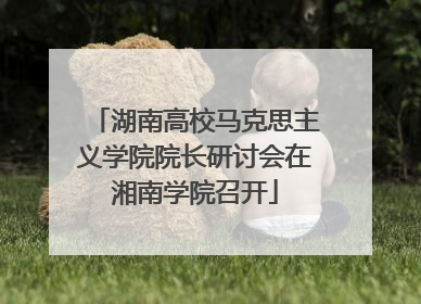 湖南高校马克思主义学院院长研讨会在湘南学院召开