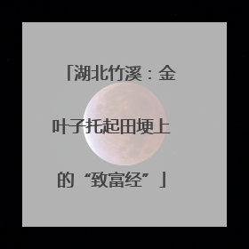 湖北竹溪：金叶子托起田埂上的“致富经”