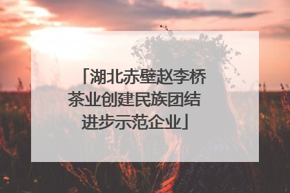 湖北赤壁赵李桥茶业创建民族团结进步示范企业