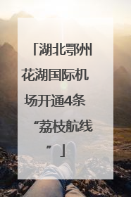 湖北鄂州花湖国际机场开通4条“荔枝航线”