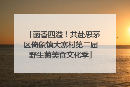 菌香四溢！共赴思茅区倚象镇大寨村第二届野生菌美食文化季