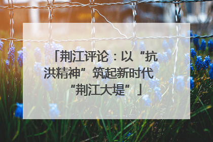 荆江评论：以“抗洪精神”筑起新时代“荆江大堤”