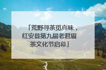 荒野寻茶觅真味，红安县第九届老君眉茶文化节启幕