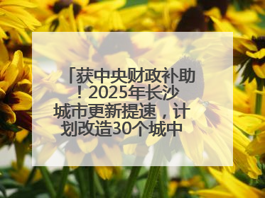 获中央财政补助！2025年长沙城市更新提速，计划改造30个城中村项目
