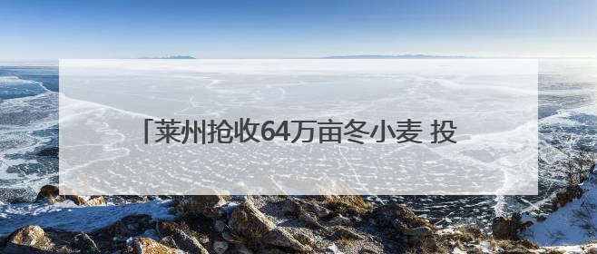 莱州抢收64万亩冬小麦 投入小麦联合收割机1500台