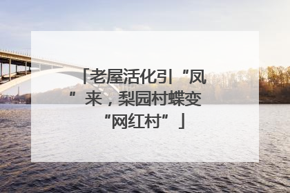 老屋活化引“凤”来，梨园村蝶变“网红村”
