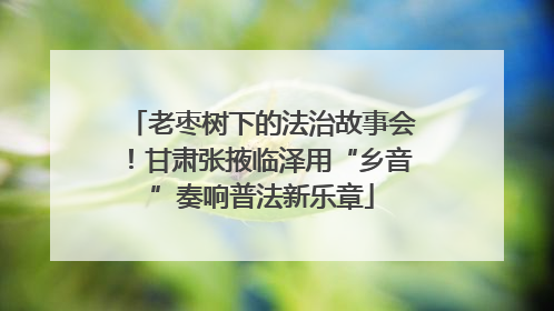 老枣树下的法治故事会！甘肃张掖临泽用“乡音”奏响普法新乐章
