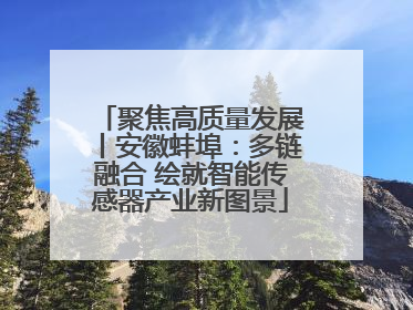 聚焦高质量发展丨安徽蚌埠：多链融合 绘就智能传感器产业新图景