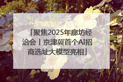 聚焦2025年廊坊经洽会丨京津冀首个AI招商选址大模型亮相