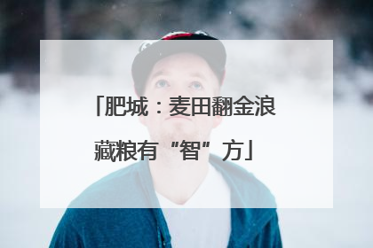 肥城：麦田翻金浪藏粮有“智”方