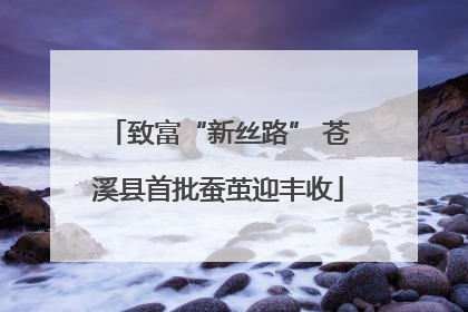 致富“新丝路” 苍溪县首批蚕茧迎丰收