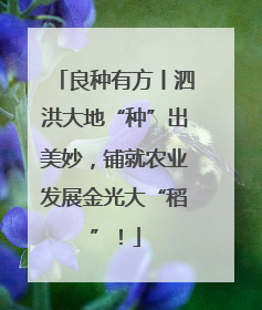 良种有方丨泗洪大地“种”出美妙，铺就农业发展金光大“稻”！