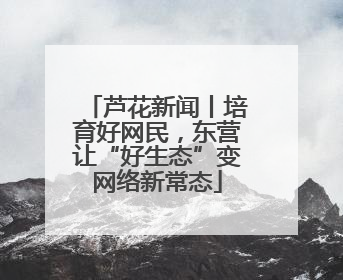芦花新闻丨培育好网民，东营让“好生态”变网络新常态