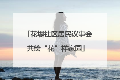 花堤社区居民议事会共绘“花”样家园