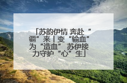苏韵伊情 奔赴“疆”来丨变“输血”为“造血” 苏伊接力守护“心”生