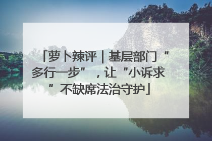 萝卜辣评｜基层部门“多行一步”，让“小诉求”不缺席法治守护