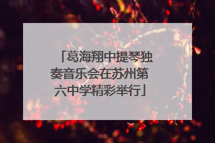葛海翔中提琴独奏音乐会在苏州第六中学精彩举行