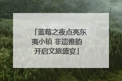 蓝莓之夜点亮东夷小镇 非遗雅韵开启文旅盛宴