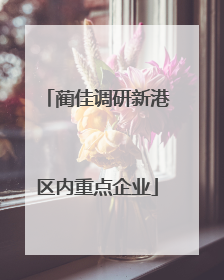蔺佳调研新港区内重点企业