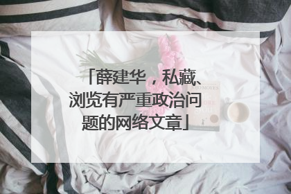 薛建华，私藏、浏览有严重政治问题的网络文章