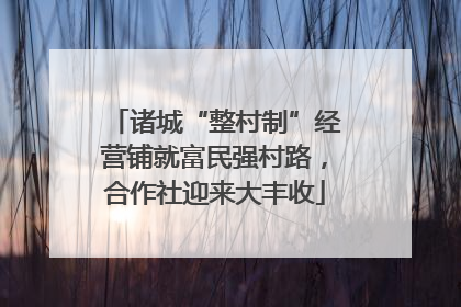 诸城“整村制”经营铺就富民强村路，合作社迎来大丰收