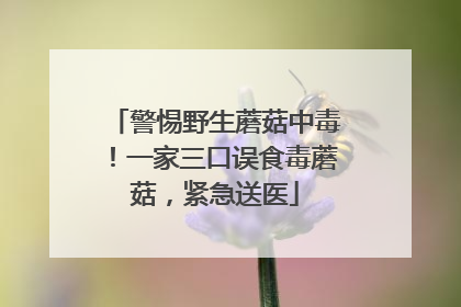 警惕野生蘑菇中毒！一家三口误食毒蘑菇，紧急送医