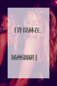 许昆林在扬州调研