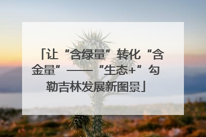 让“含绿量”转化“含金量”——“生态+”勾勒吉林发展新图景