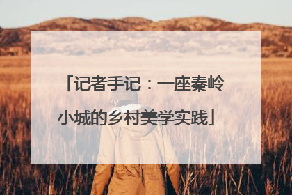 记者手记：一座秦岭小城的乡村美学实践