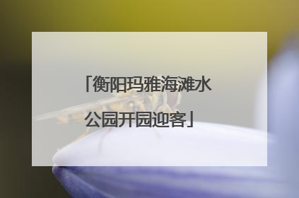 衡阳玛雅海滩水公园开园迎客